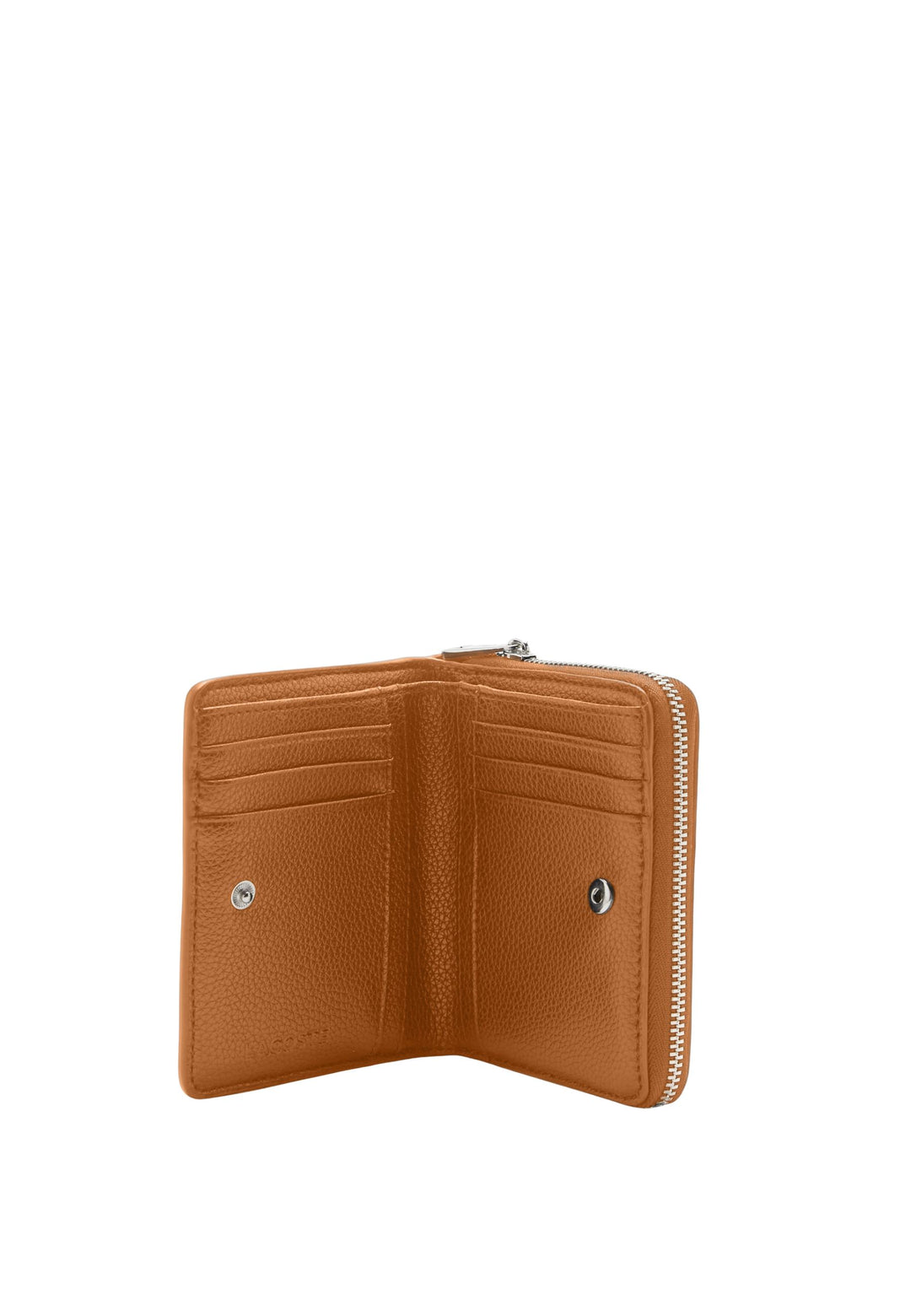 Compagnon Lacoste Elegance NF5145EG Arganöljy