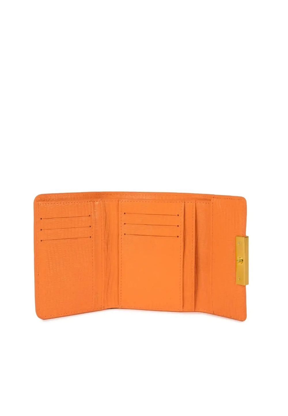 Compagnon / Portefeuille  